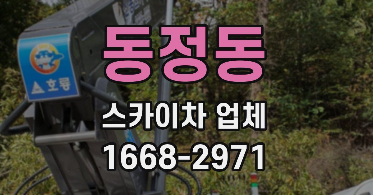 동정동 스카이차 업체