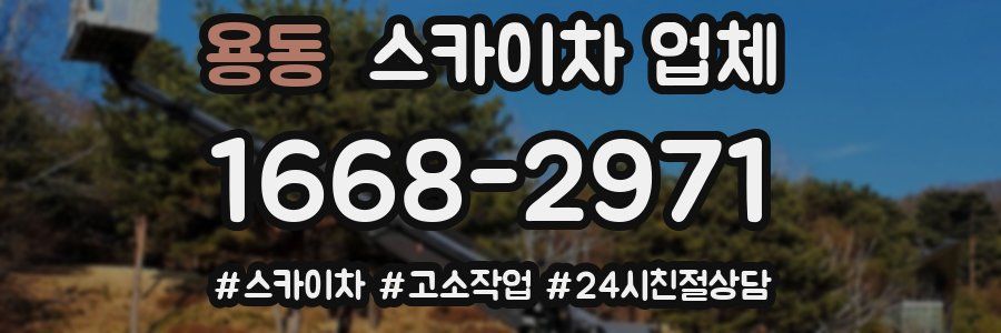 용동 스카이차 업체