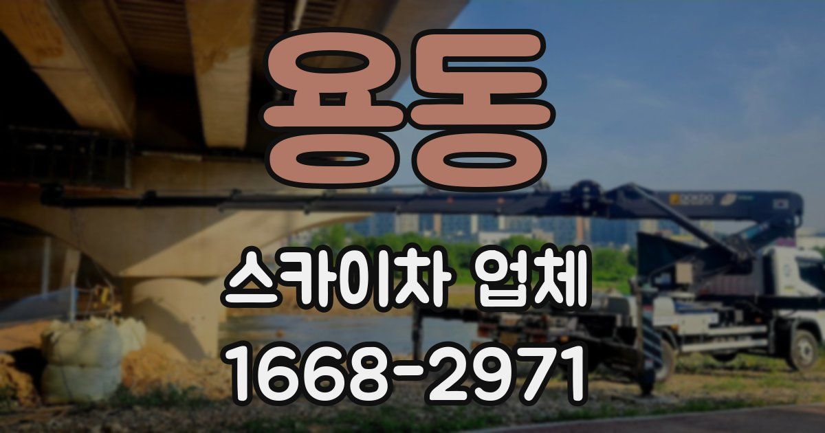 용동 스카이차 업체