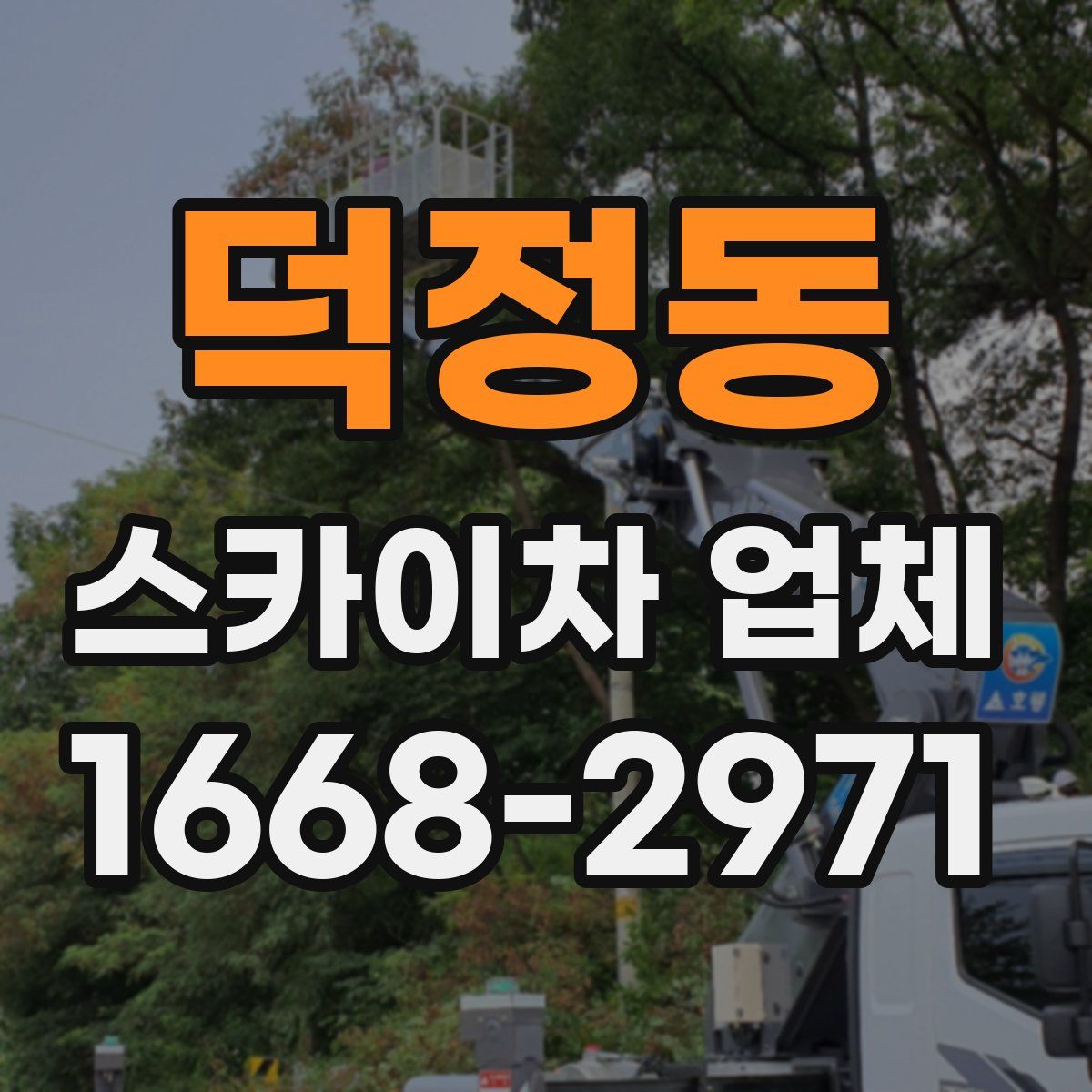 덕정동 스카이차 업체