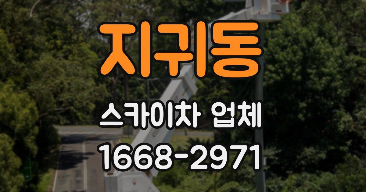 지귀동 스카이차 업체