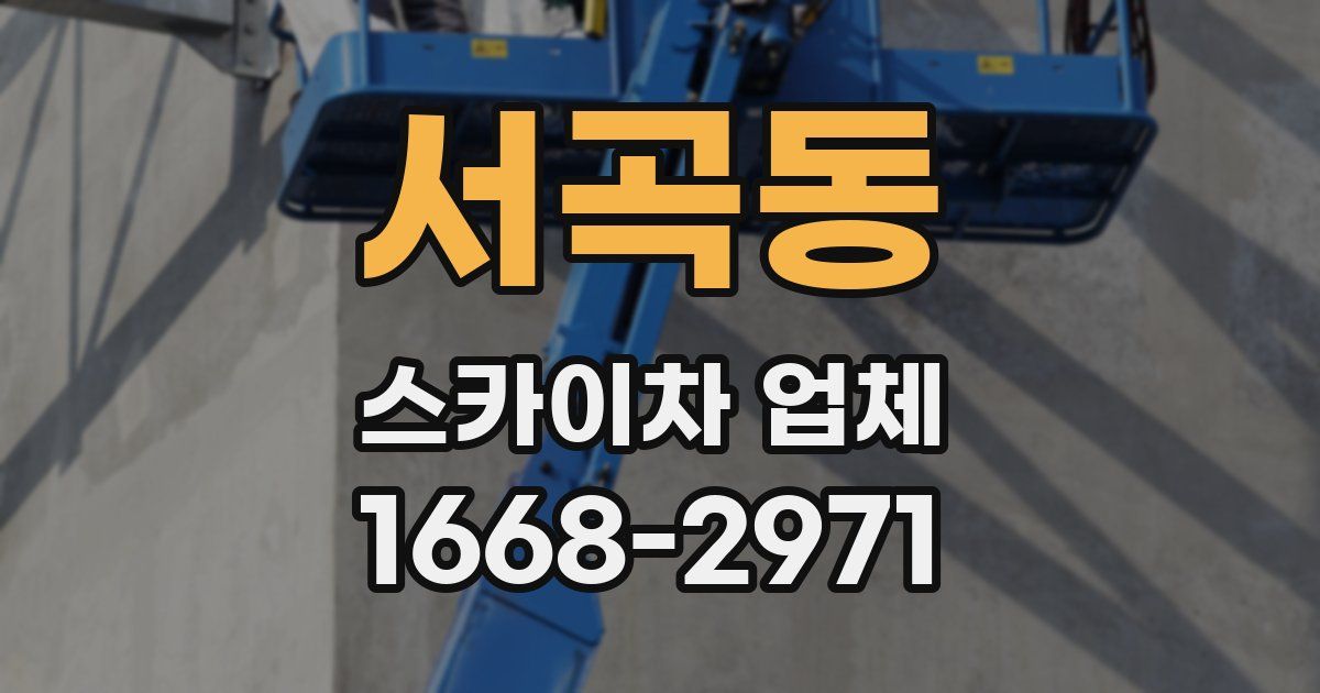 서곡동 스카이차 업체