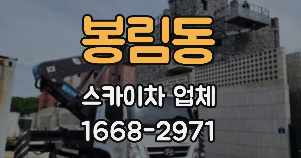 봉림동 스카이차 업체