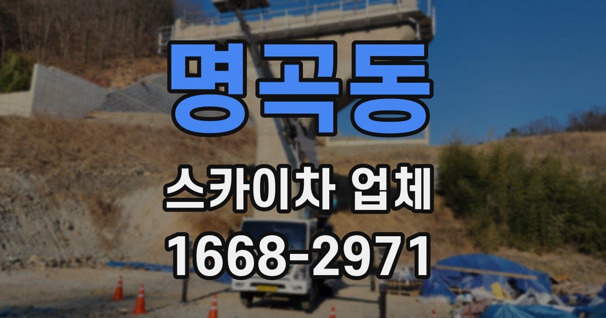 명곡동 스카이차 업체