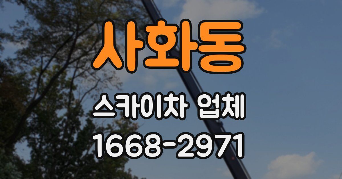 사화동 스카이차 업체