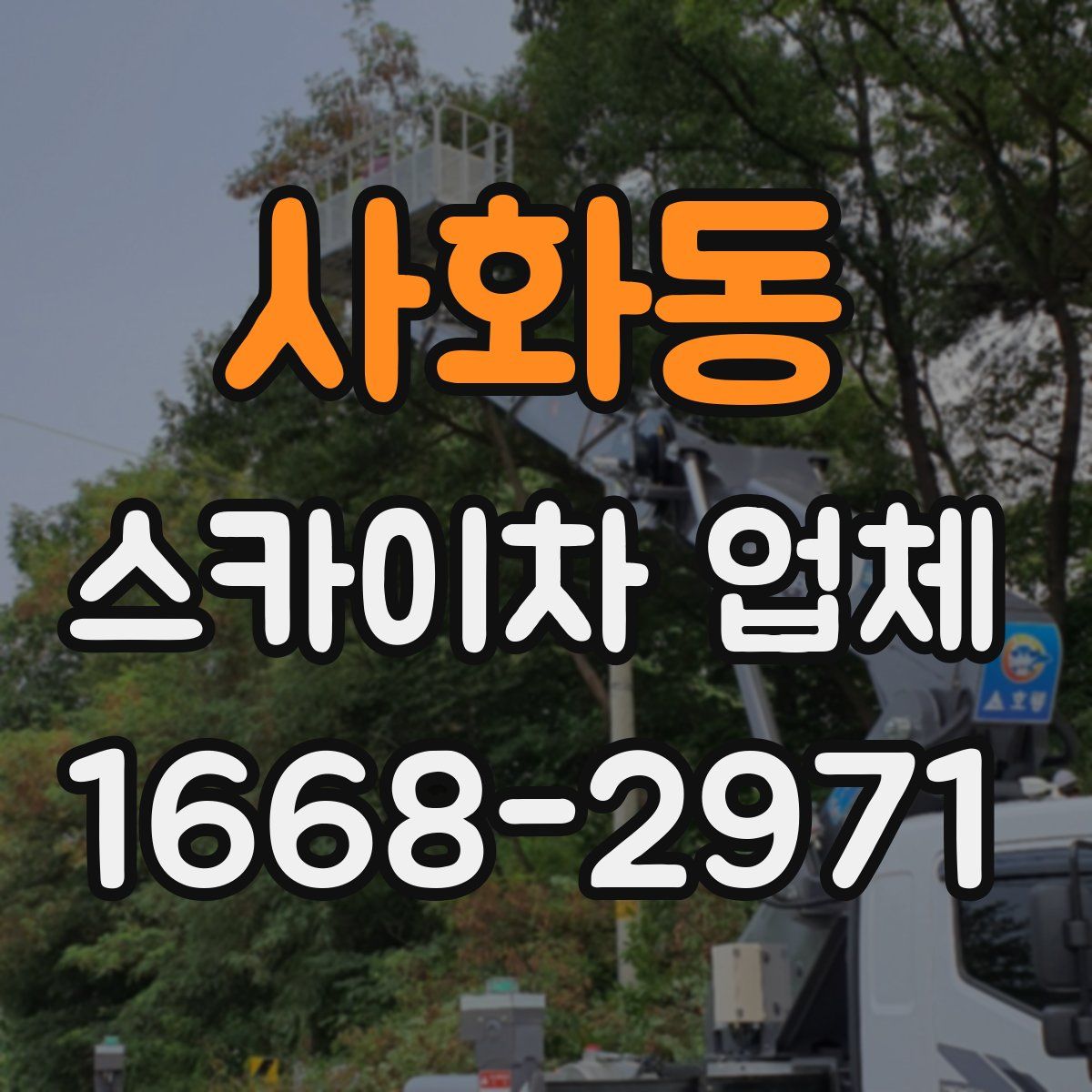 사화동 스카이차 업체