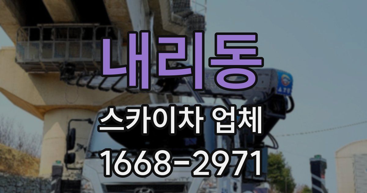내리동 스카이차 업체