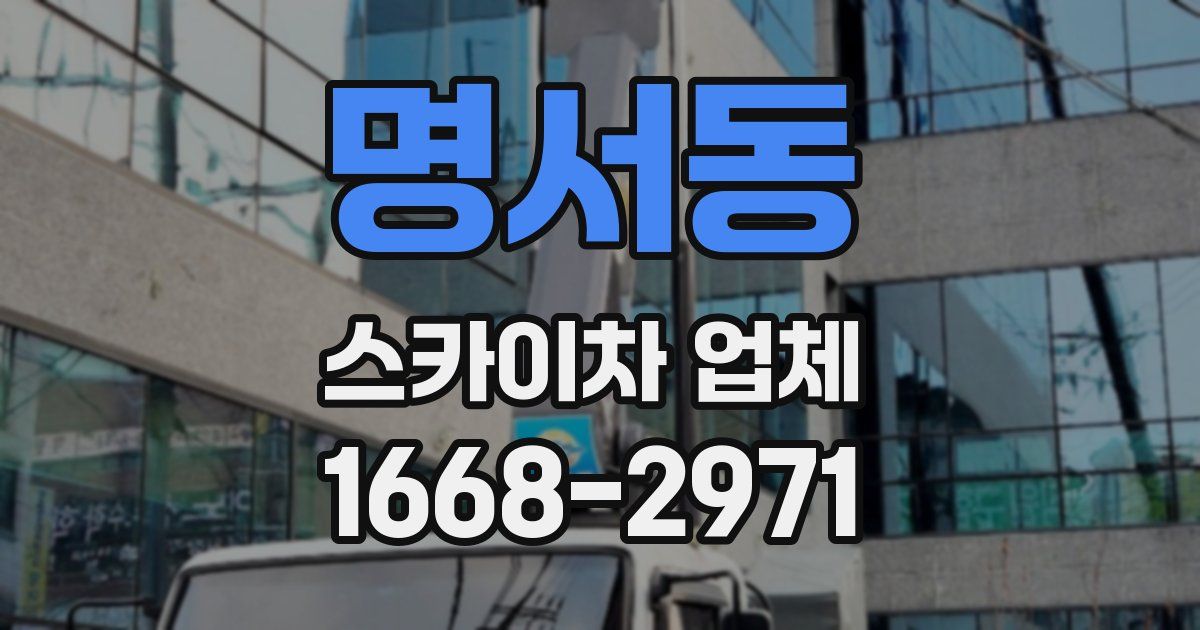 명서동 스카이차 업체