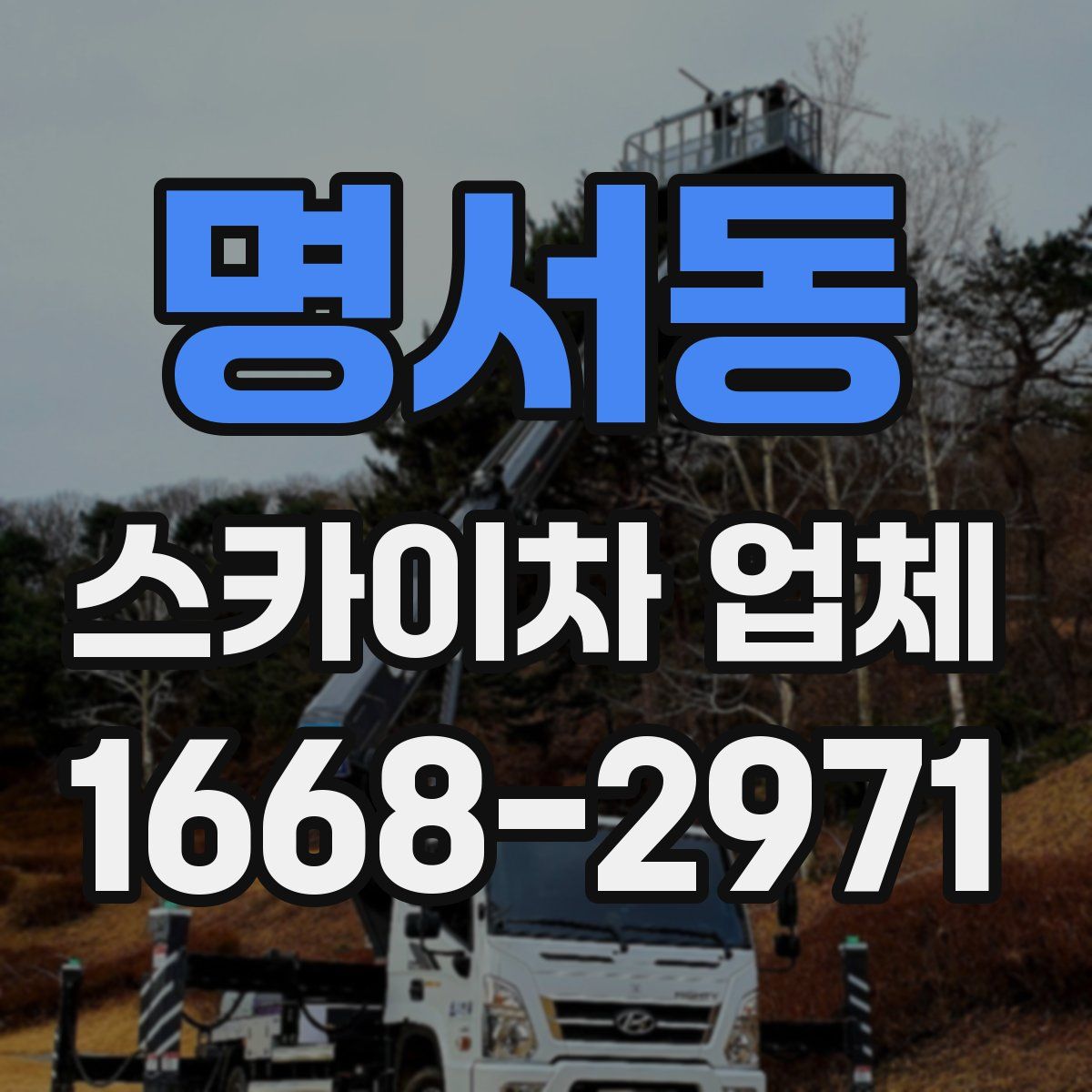 명서동 스카이차 업체