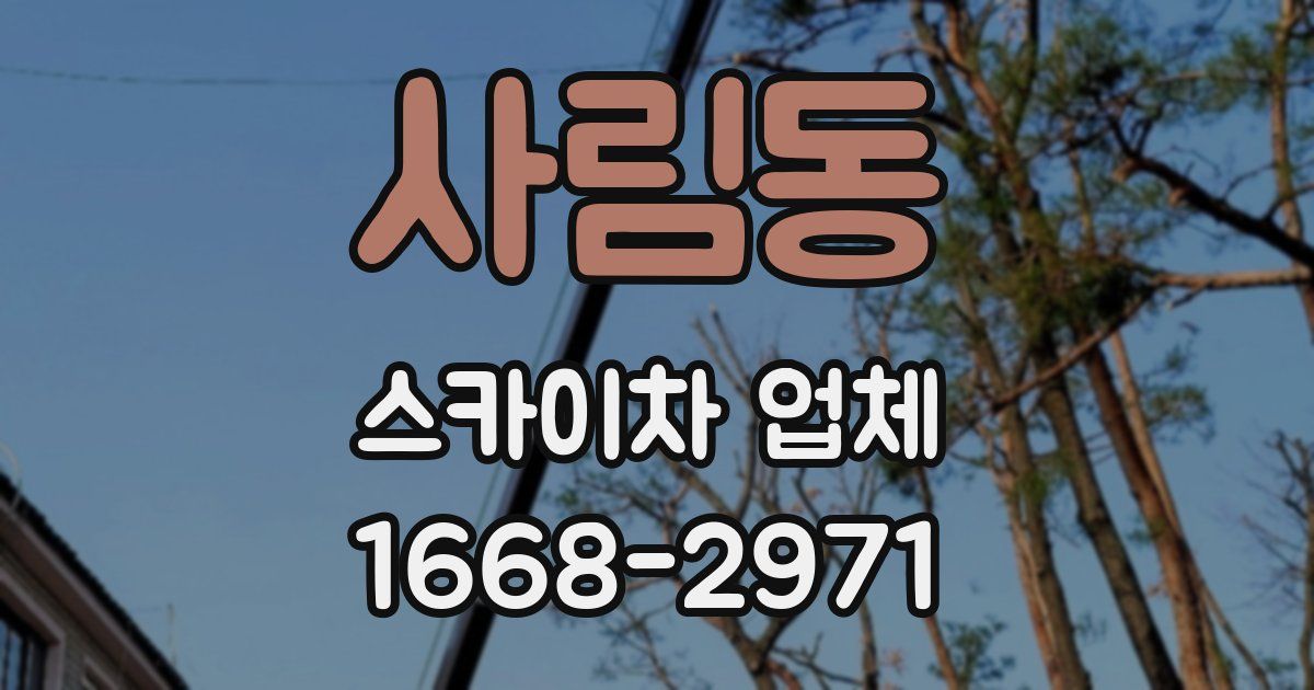 사림동 스카이차 업체
