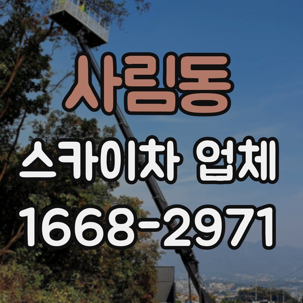 사림동 스카이차 업체