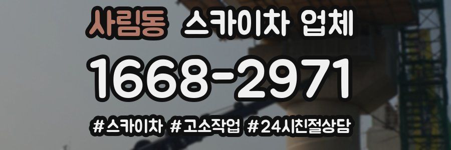 사림동 스카이차 업체