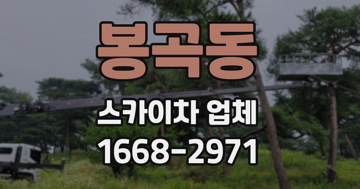 봉곡동 스카이차 업체