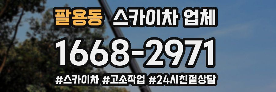팔용동 스카이차 업체