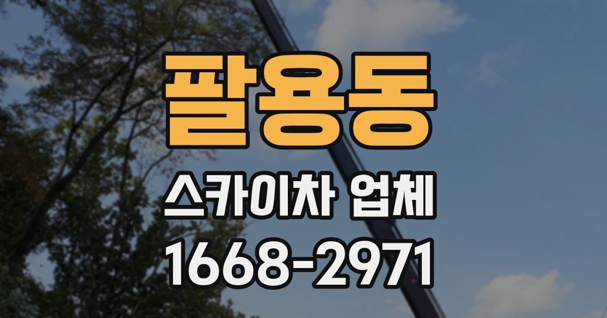 팔용동 스카이차 업체