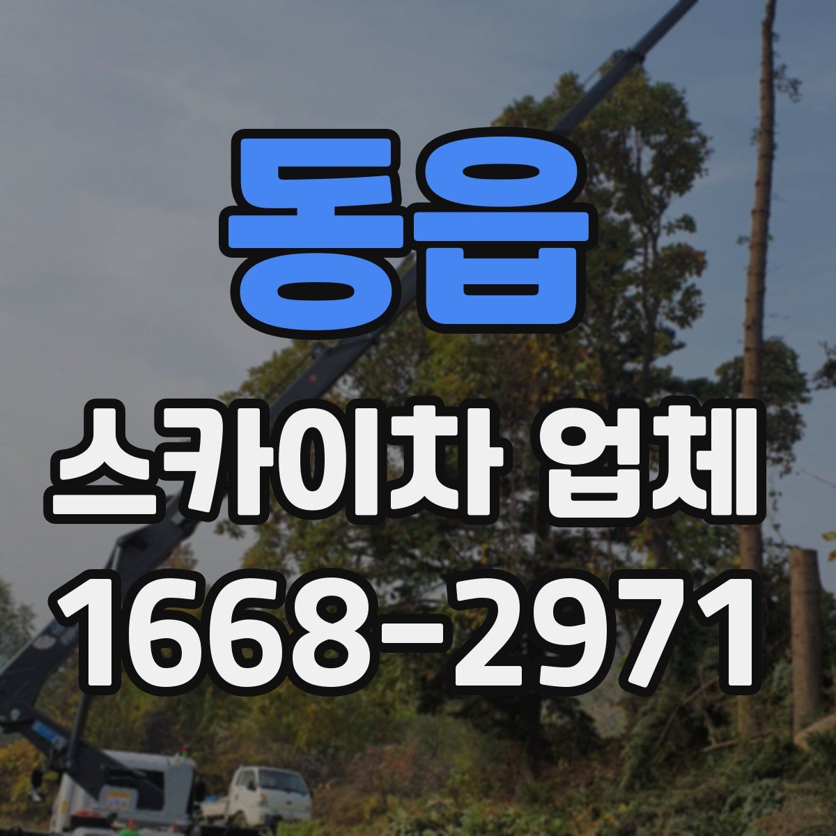 동읍 스카이차 업체