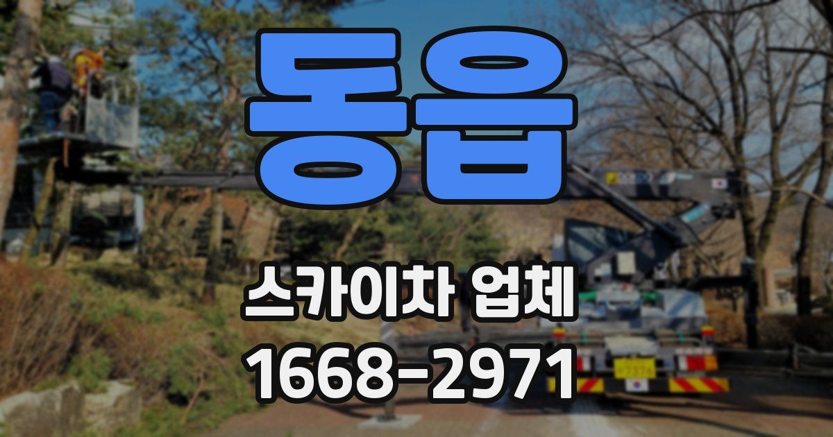 동읍 스카이차 업체