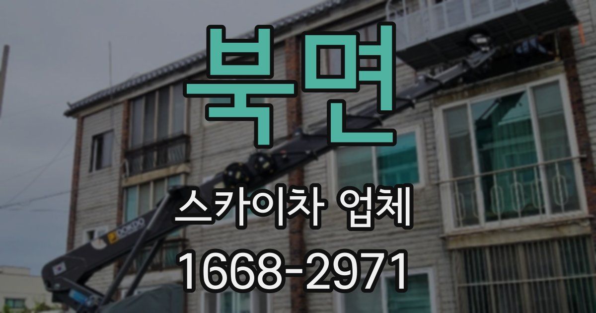 북면 스카이차 업체