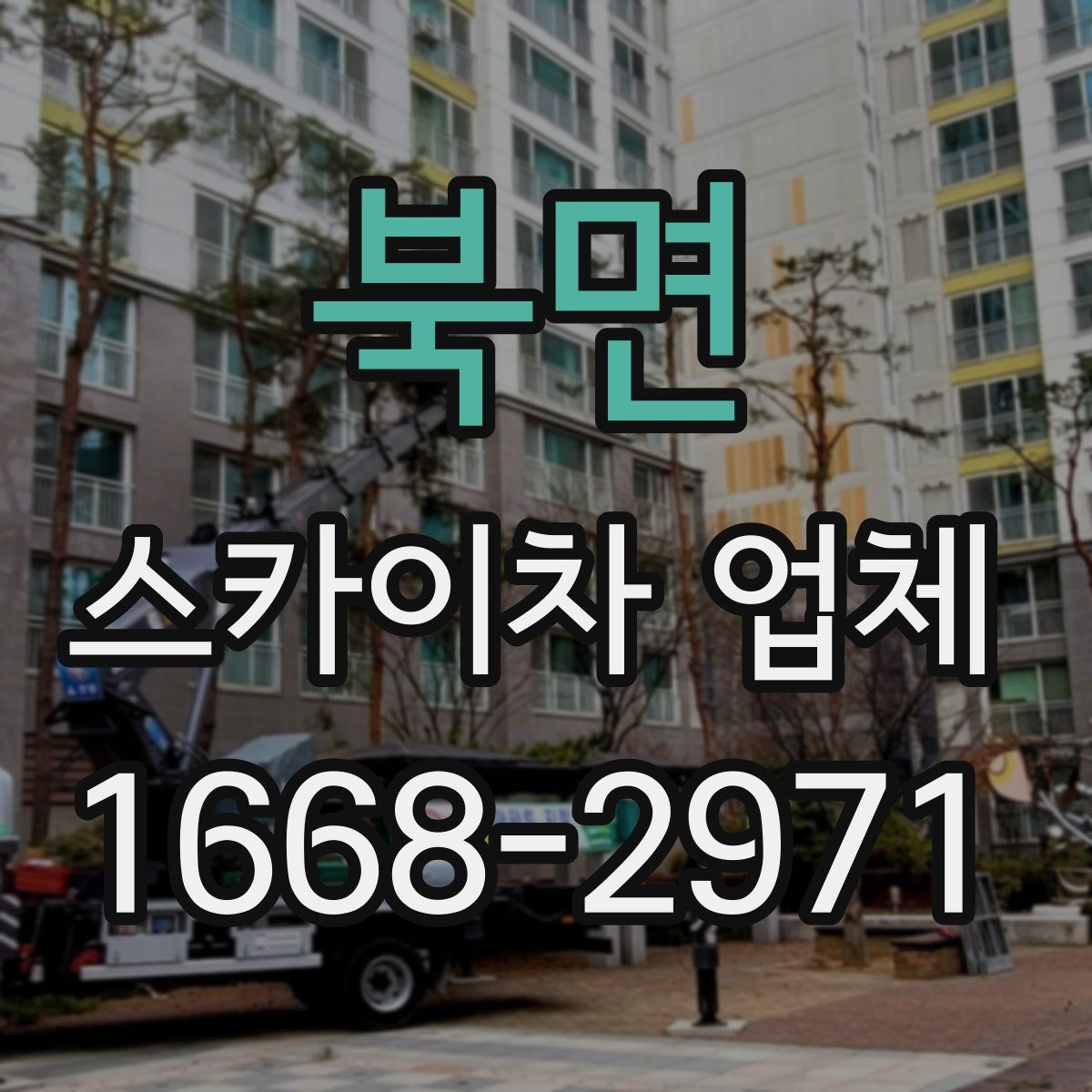 북면 스카이차 업체