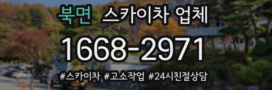 북면 스카이차 업체