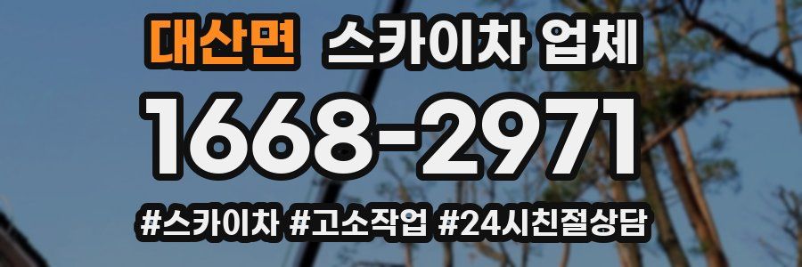 대산면 스카이차 업체