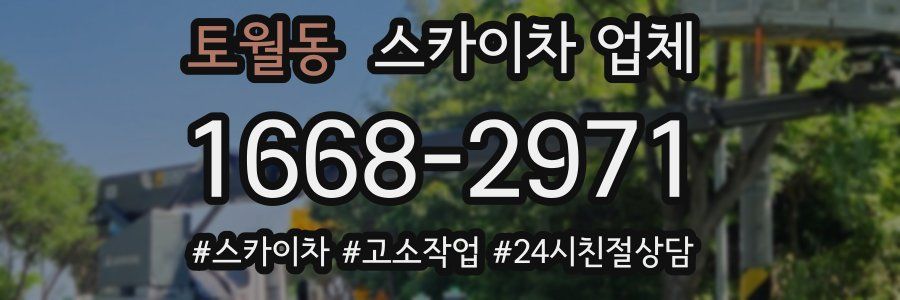토월동 스카이차 업체