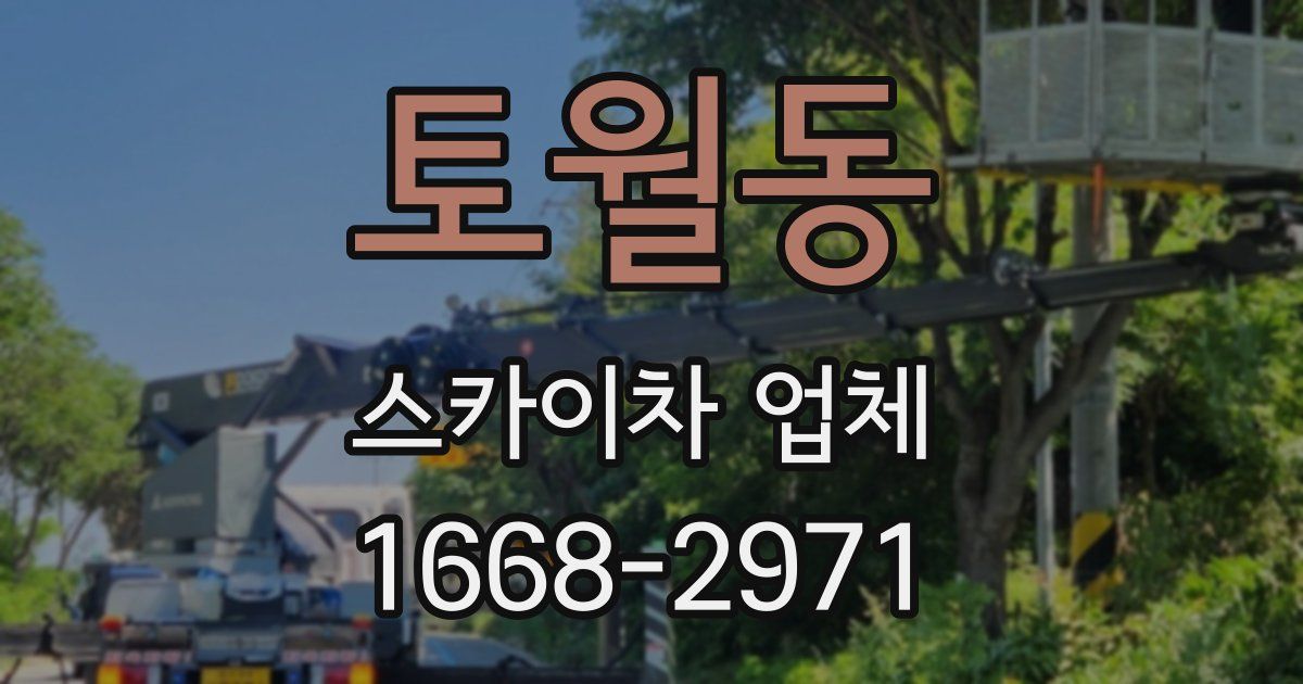 토월동 스카이차 업체