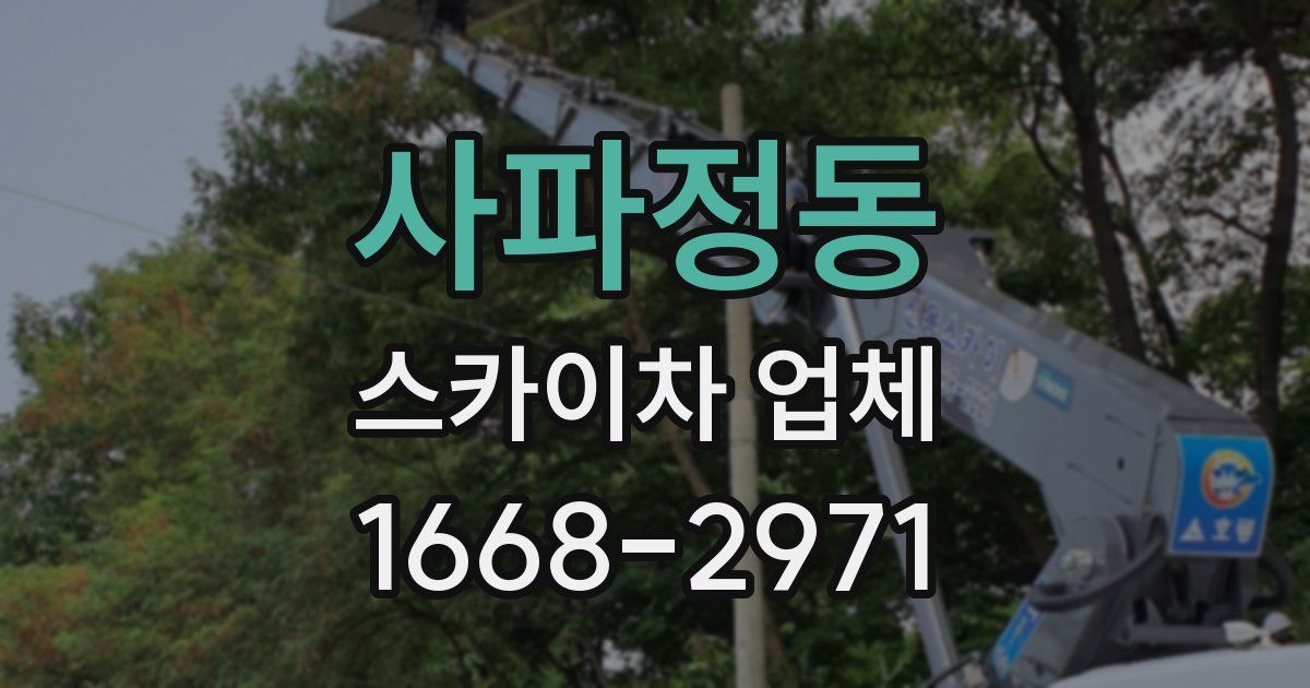 사파정동 스카이차 업체