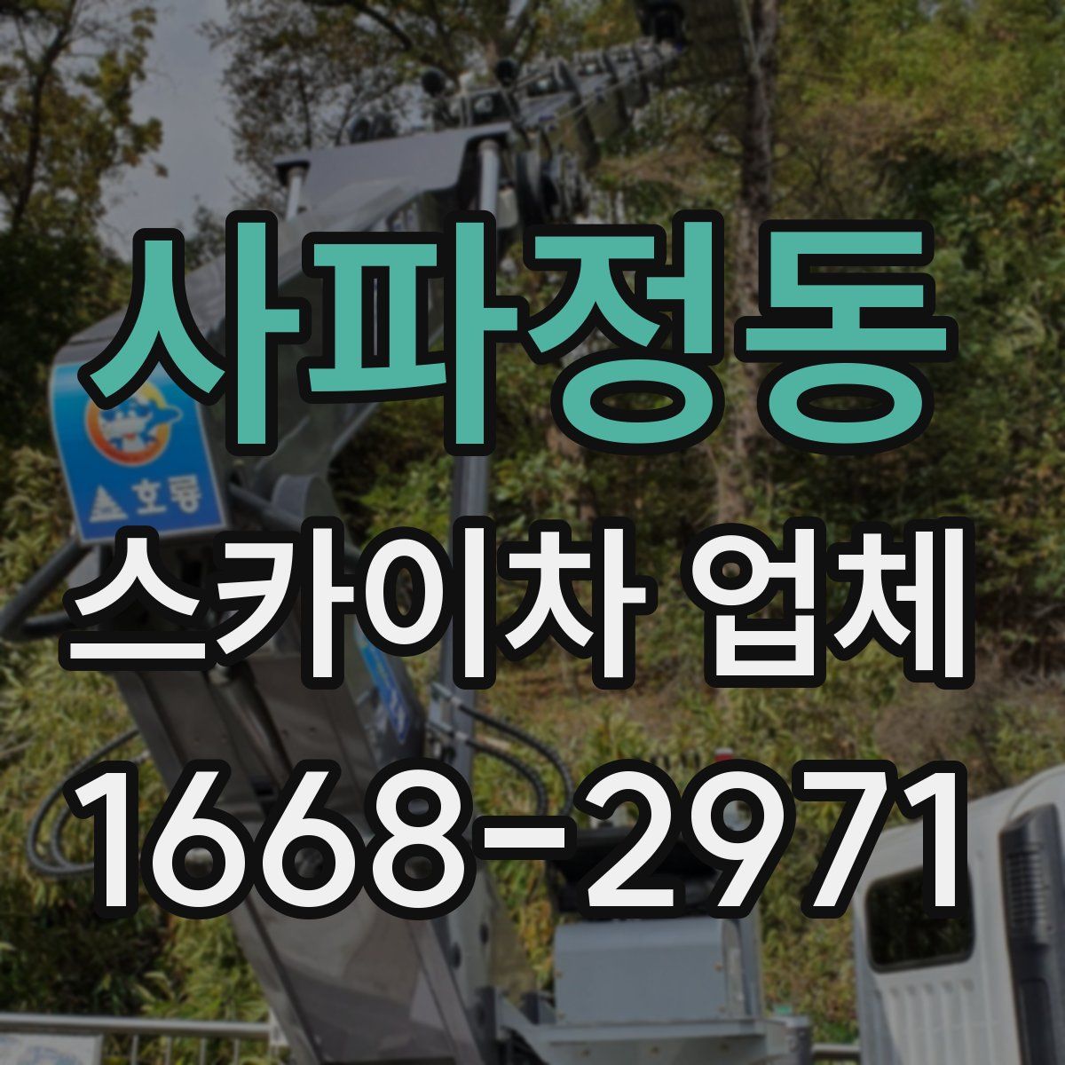 사파정동 스카이차 업체