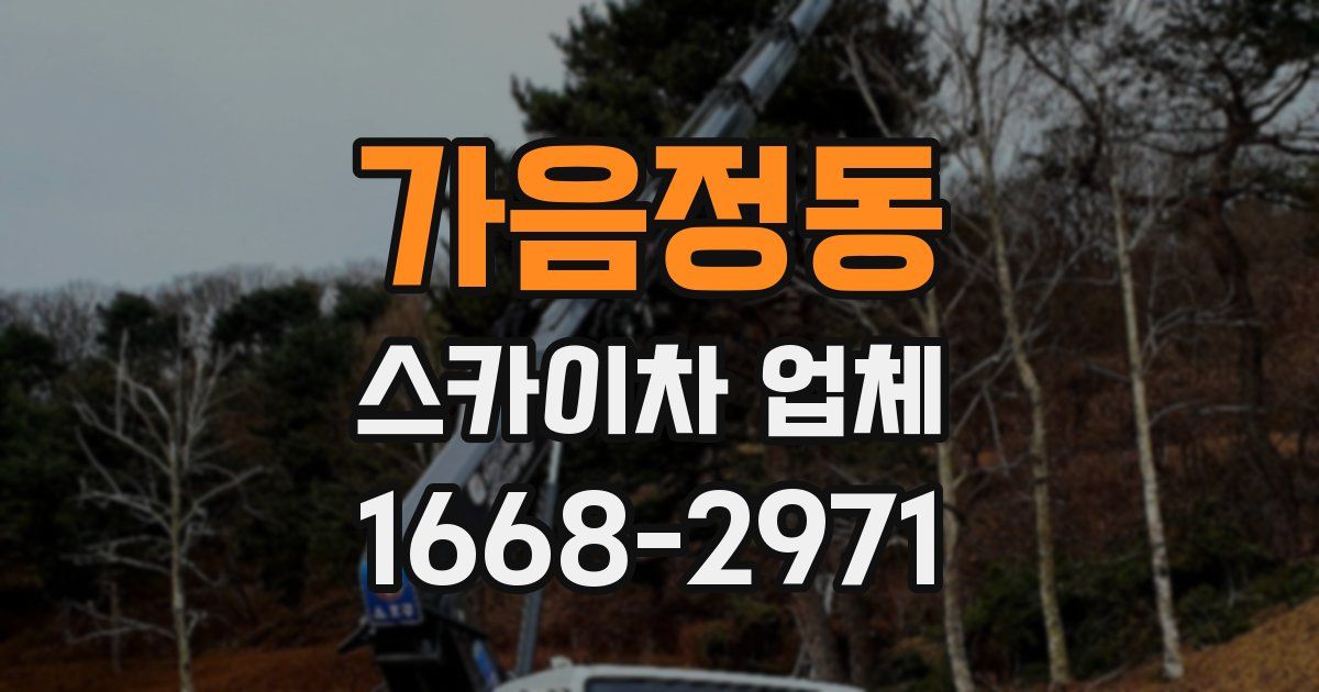가음정동 스카이차 업체