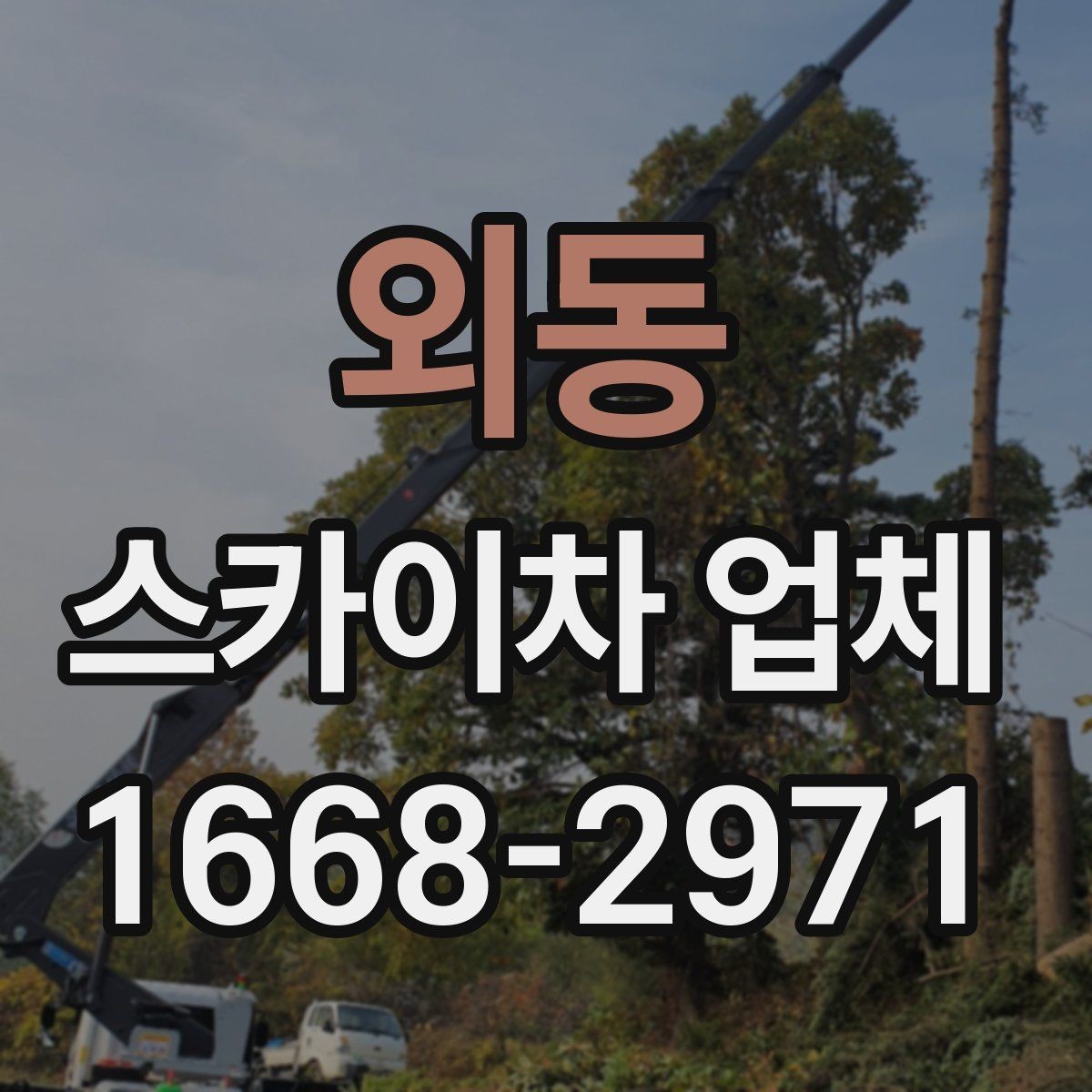 외동 스카이차 업체 계약 전 꼭 살펴볼 항목