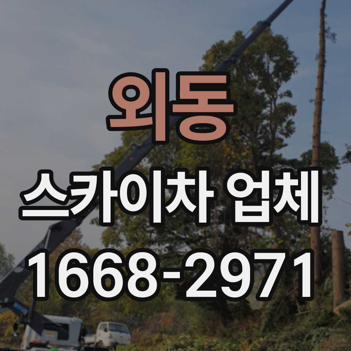 외동 스카이차 업체