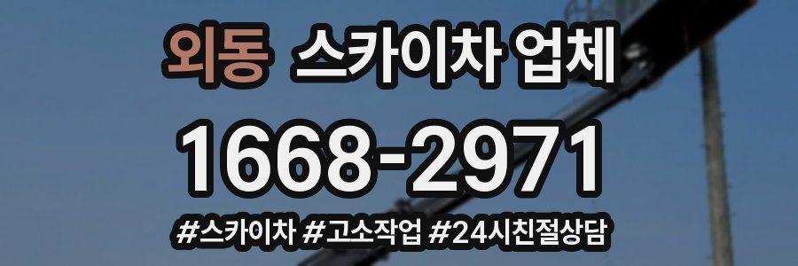 외동 스카이차 업체