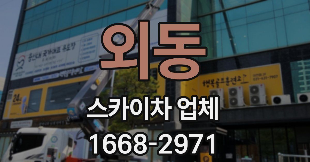 외동 스카이차 업체