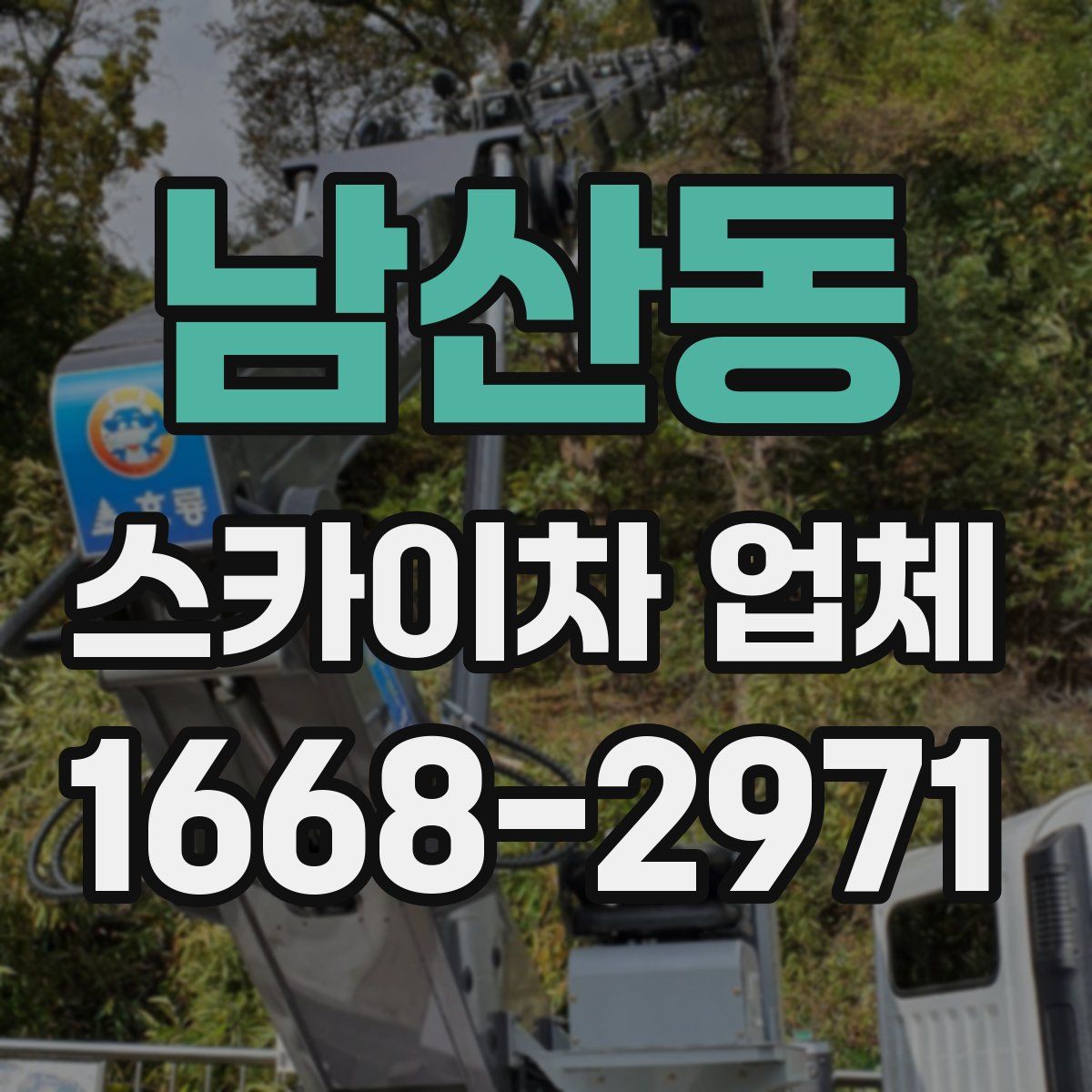 남산동 스카이차 업체