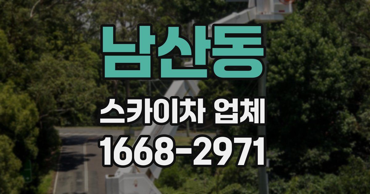 남산동 스카이차 업체