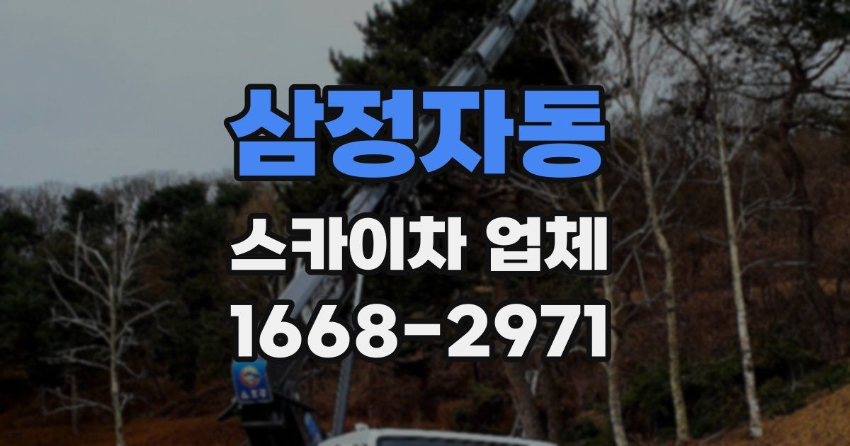 삼정자동 스카이차 업체