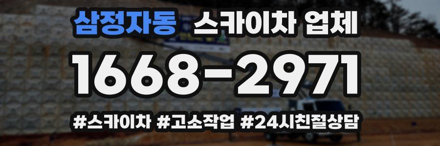 삼정자동 스카이차 업체
