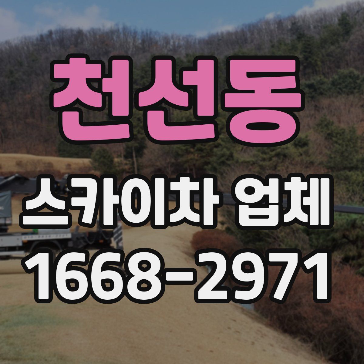 천선동 스카이차 업체