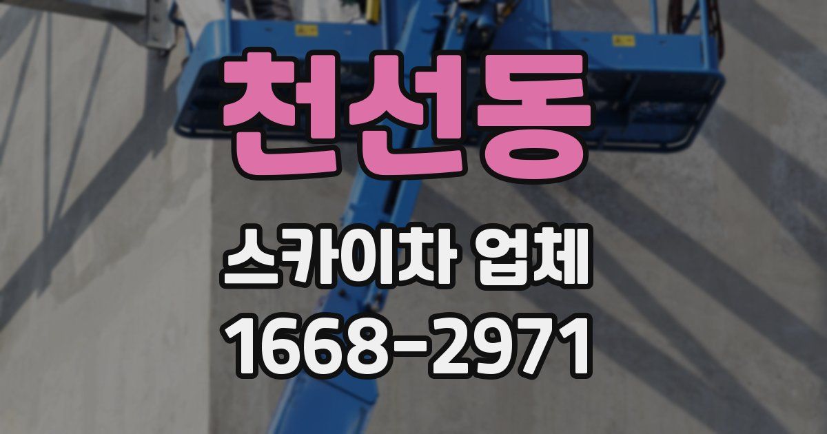 천선동 스카이차 업체