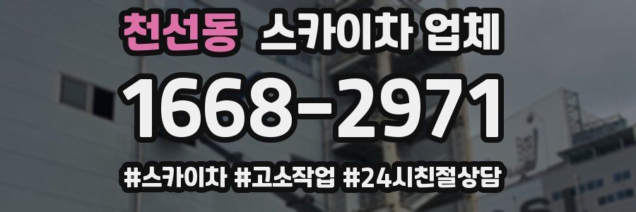 천선동 스카이차 업체