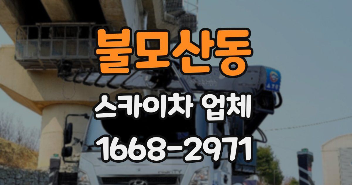 불모산동 스카이차 업체