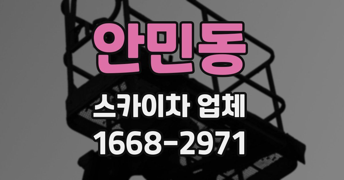 안민동 스카이차 업체