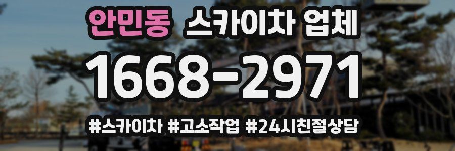 안민동 스카이차 업체