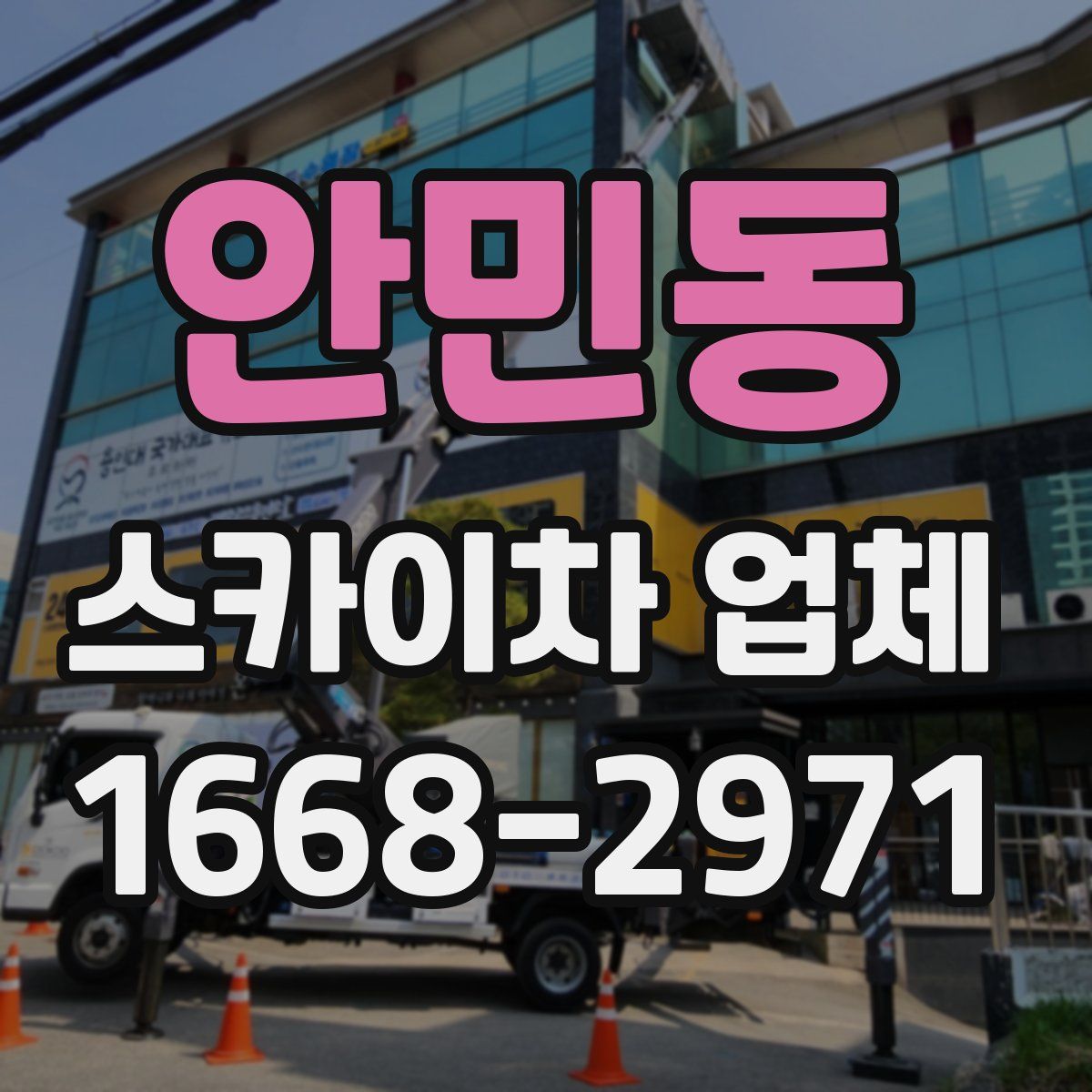 안민동 스카이차 업체