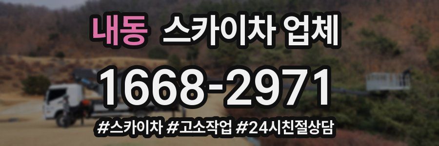 내동 스카이차 업체