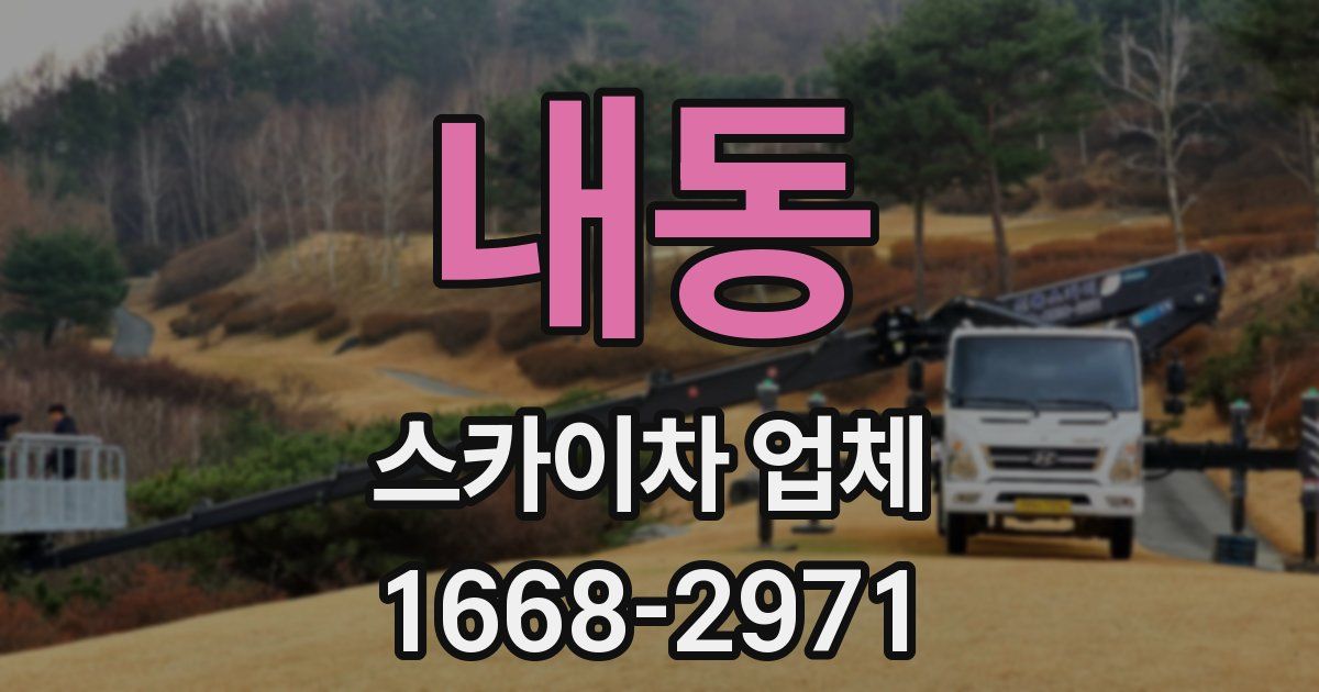 내동 스카이차 업체