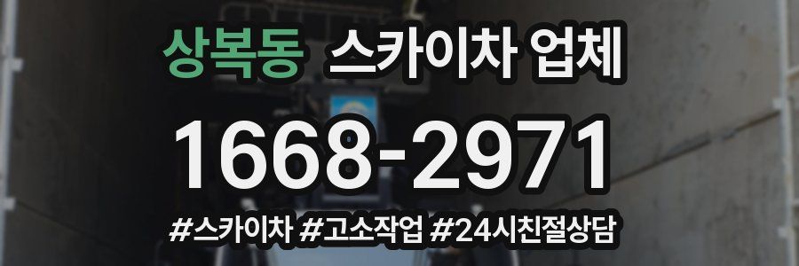 상복동 스카이차 업체