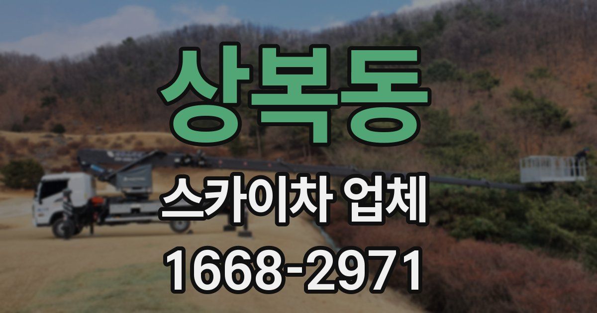 상복동 스카이차 업체