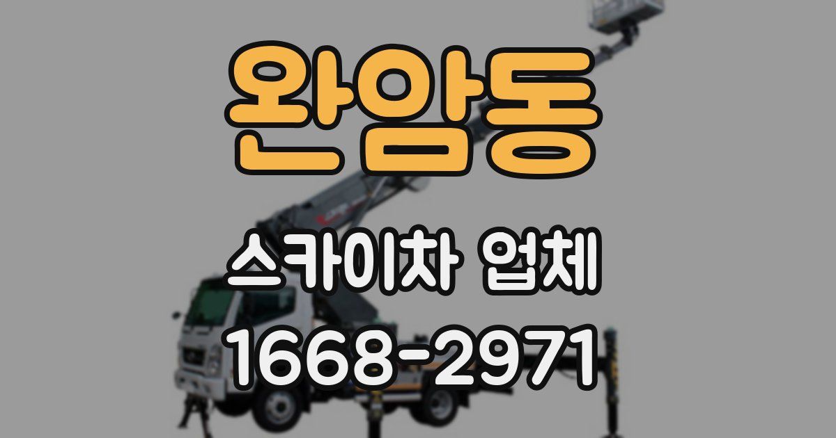 완암동 스카이차 업체